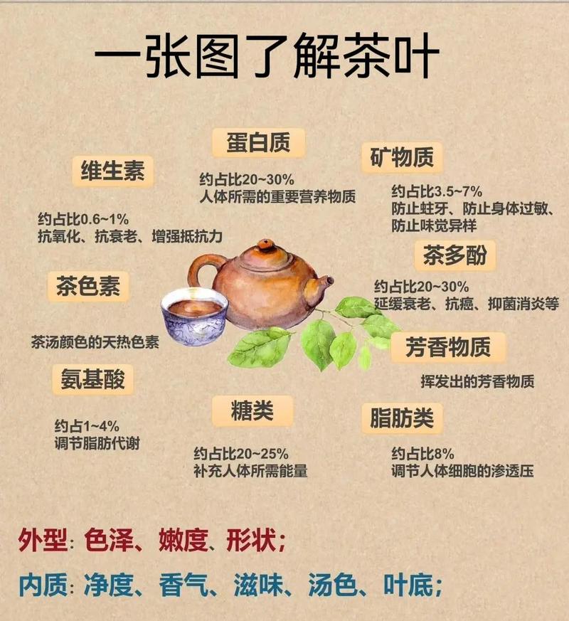 咖啡醒粉与茶叶洗茶的萃取成分对比表