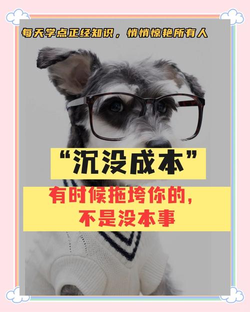 别被沉没成本拖累