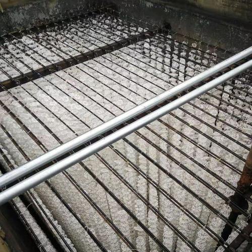 污水处理厂厌氧氨氧化中试反应器填料挂膜现场照片