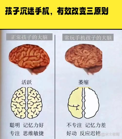 孩子的大脑，更像一个乱糟糟的柜子