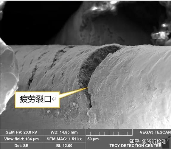 梯度复合氧化锆牙冠疲劳断裂截面金相图