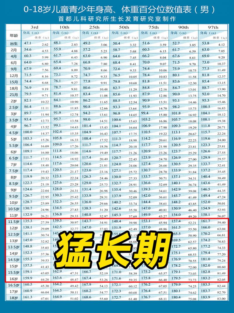 青少年按月身高记录模板表格