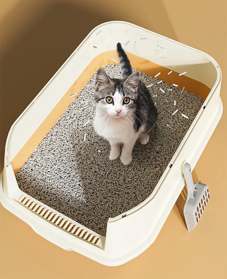 宠物主人给家养猫咪清理猫砂盆的日常操作