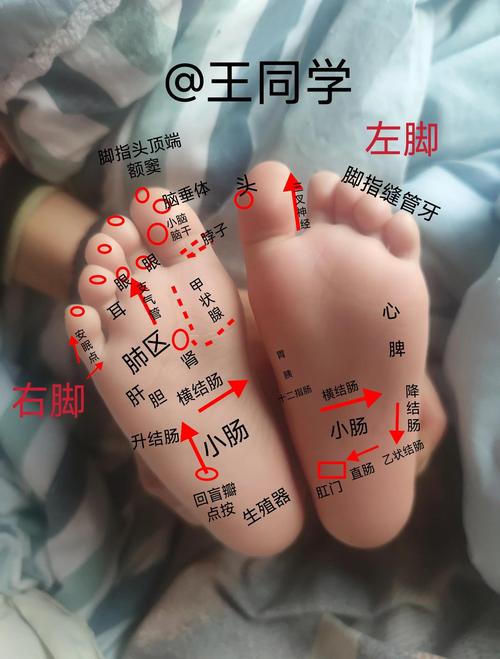 新手爸妈踩过最多的3个原始反射误区