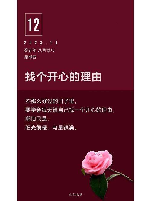 温柔里藏着的生活态度