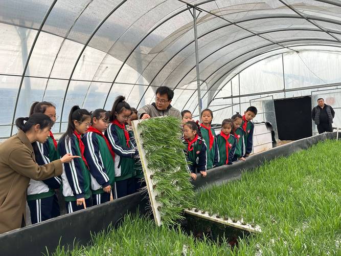 中学生在智慧农场里学习种植技术