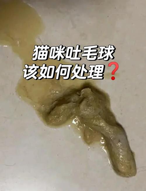 地毯上猫咪吐出的成型猫毛球实拍