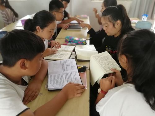 小学语文整本书阅读课堂小组讨论场景
