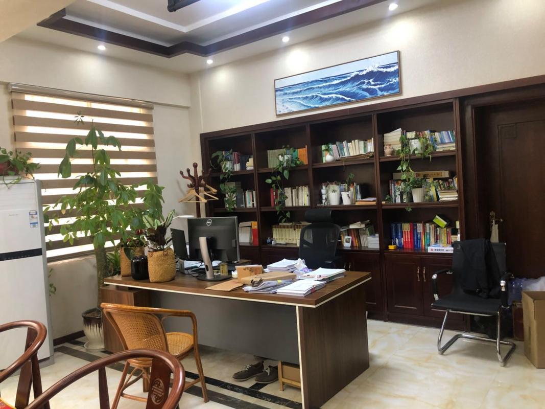 律师办公室离婚咨询场景