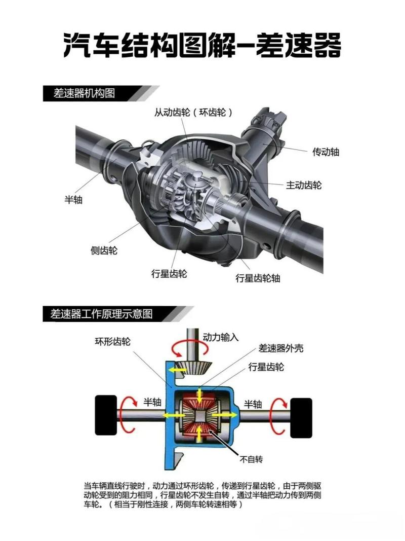 前置前驱汽车差速器安装位置图