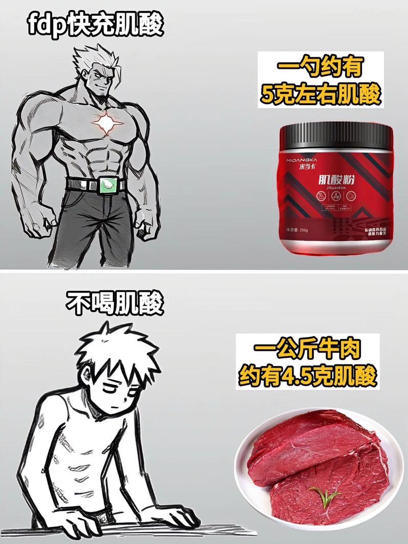 健身基础补剂蛋白粉肌酸与智商税补剂对比图