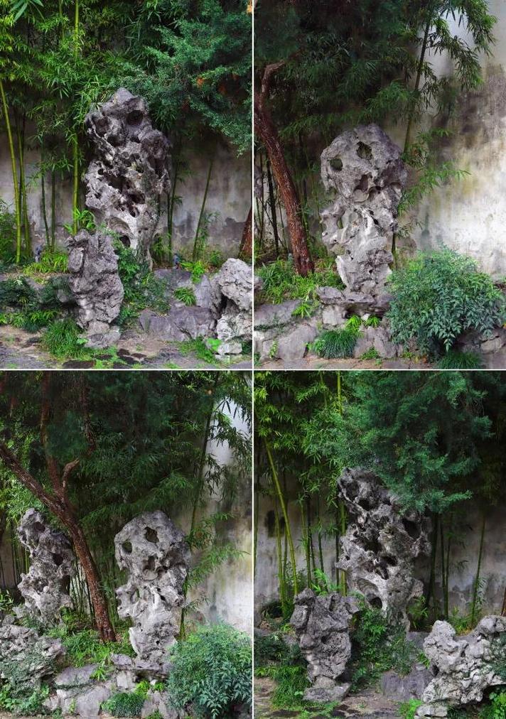 静心斋院内太湖石与古树