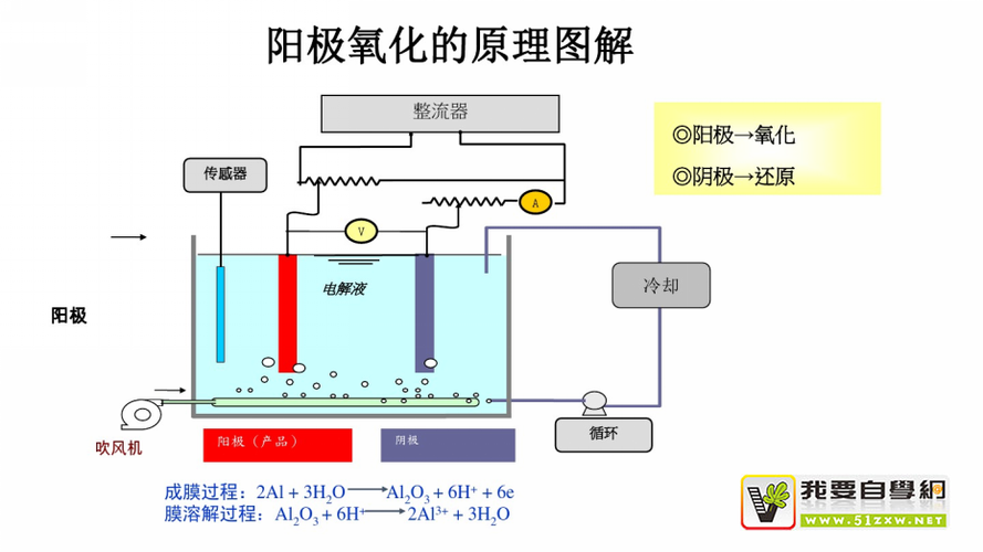 阳极氧化原理示意图 电解槽 氧化膜生长方向