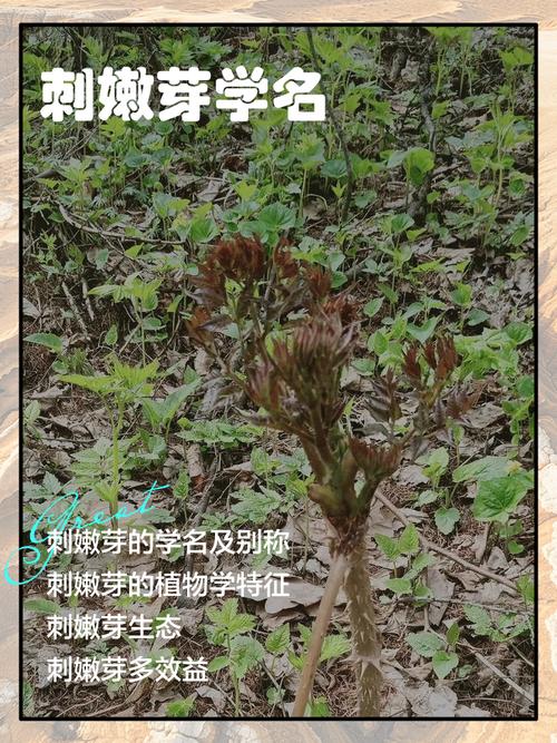 别用“对不对”掐灭刚冒头的小芽