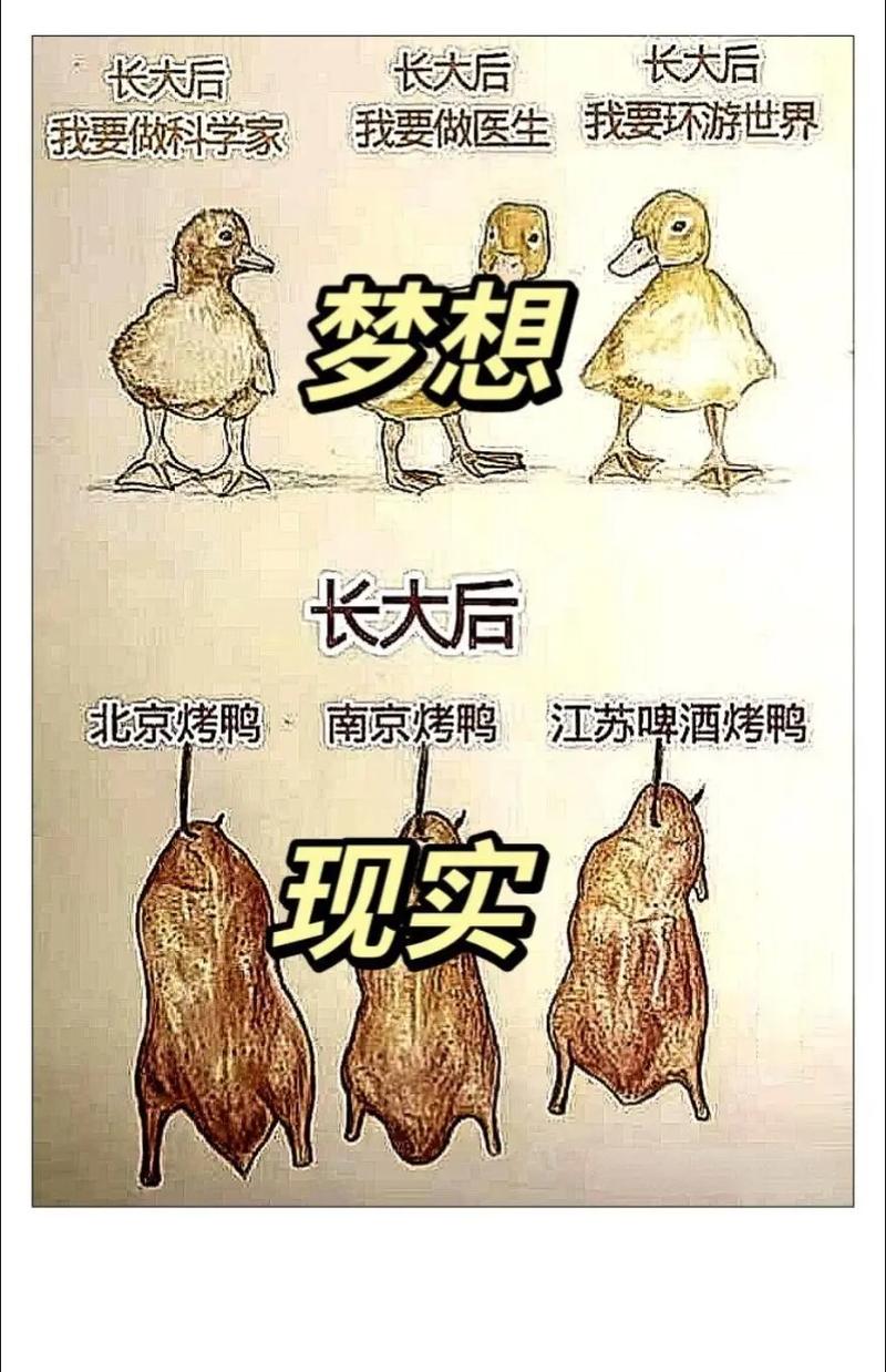 理想丰满，现实打脸？