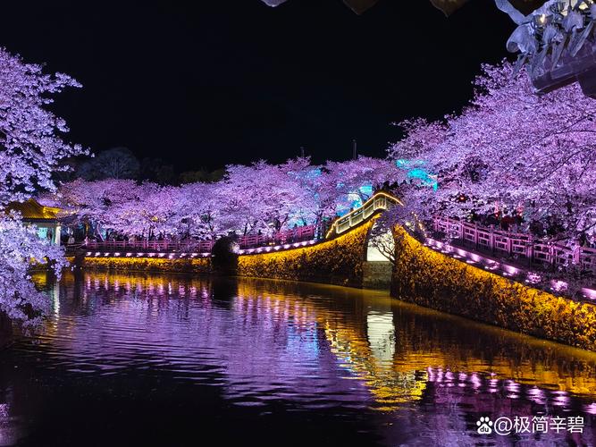 无锡鼋头渚长春桥樱花太湖倒影