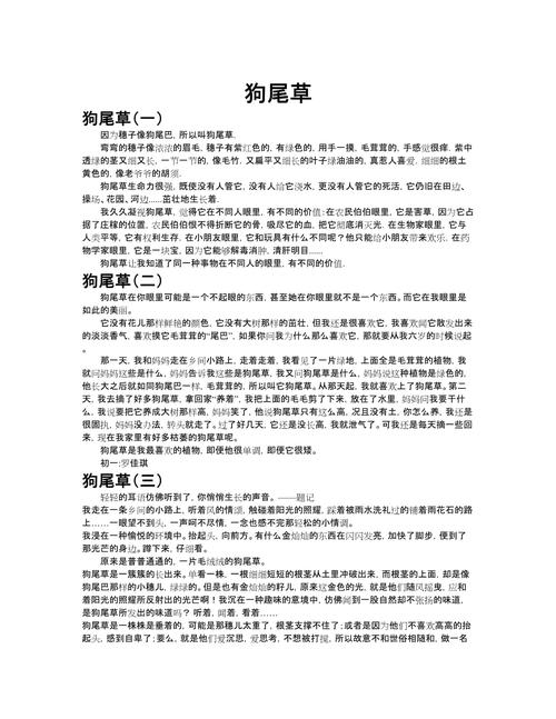 周记本里的狗尾草