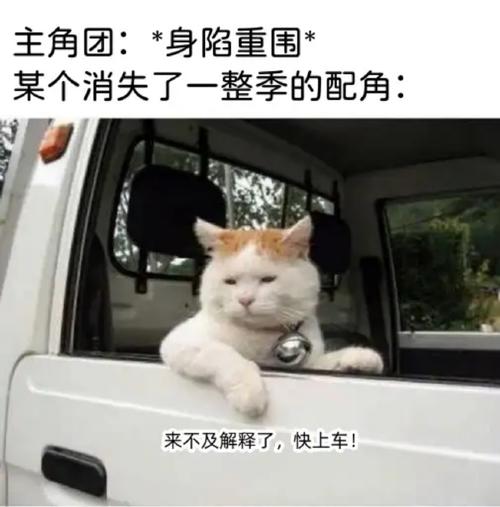 你的专业能蹭上这班车吗？