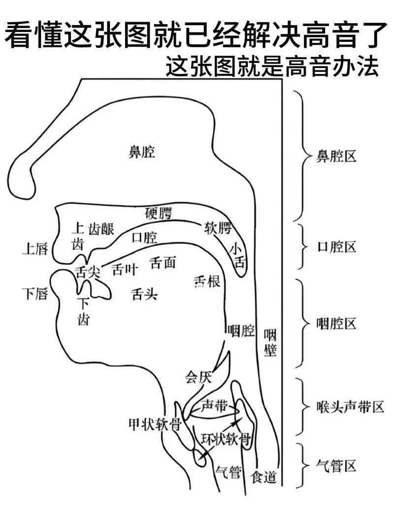 唱歌头腔共鸣位置与眉心方向示意图