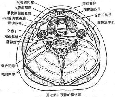 钎焊：那层微米级金属膜的奥秘，工业老鸟也踩坑