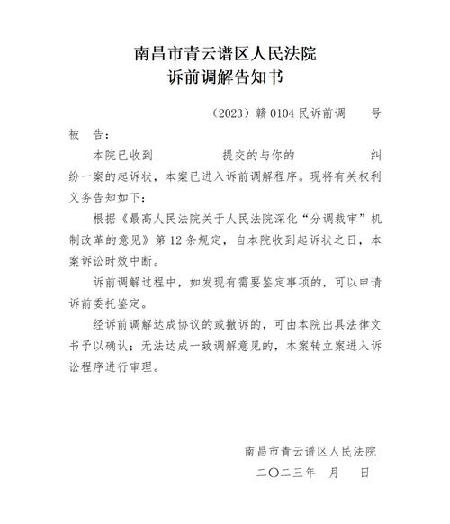 AI文字侵权诉前调解通知书实拍图
