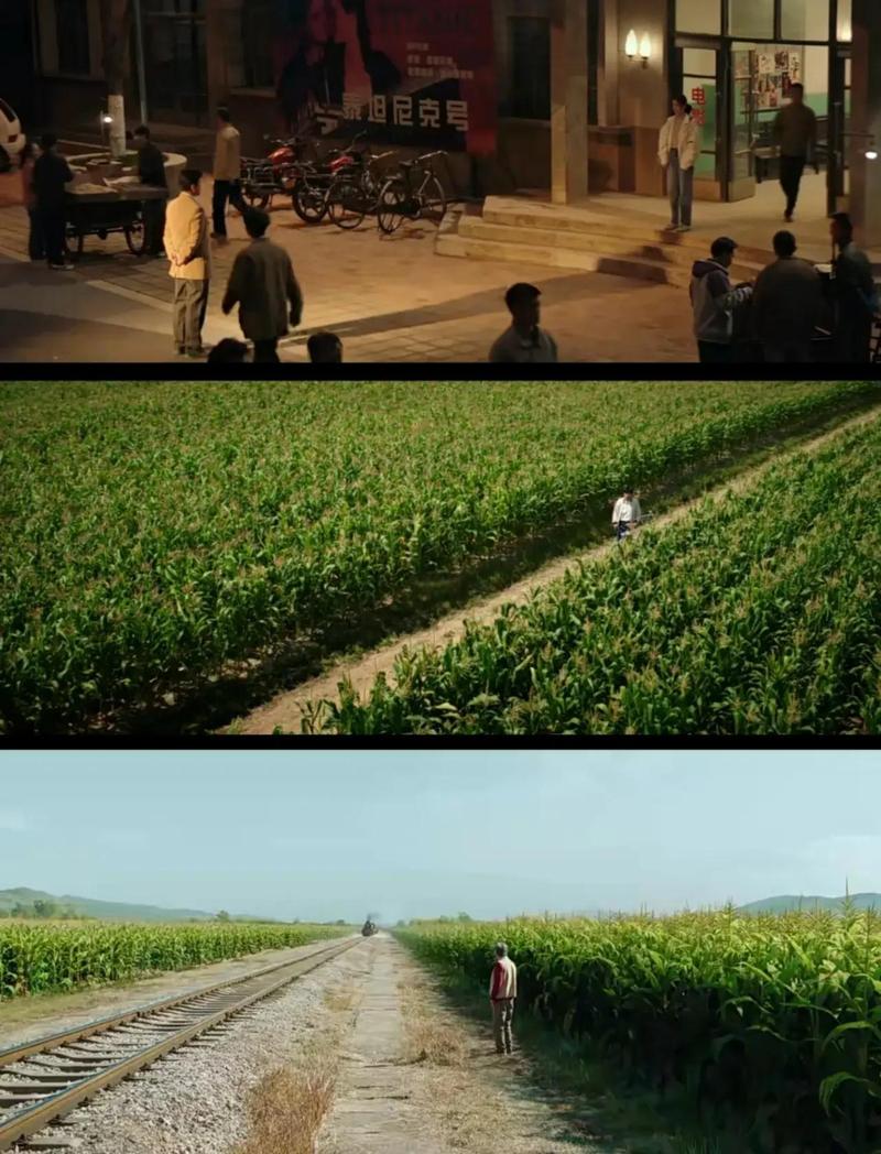 漫长的季节桦钢铁轨秋日剧照