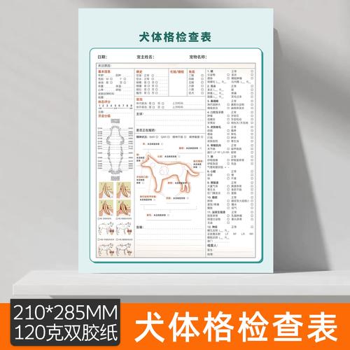 宠物医院给老年猫做神经行为评估记录