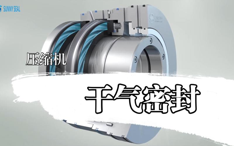 离心压缩机干气密封拆解后碳化硅密封环微观损伤