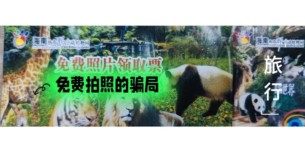 景区免费拍照陷阱