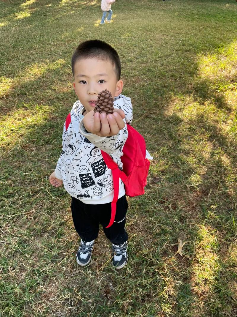 儿童户外捡松果观察形状实拍