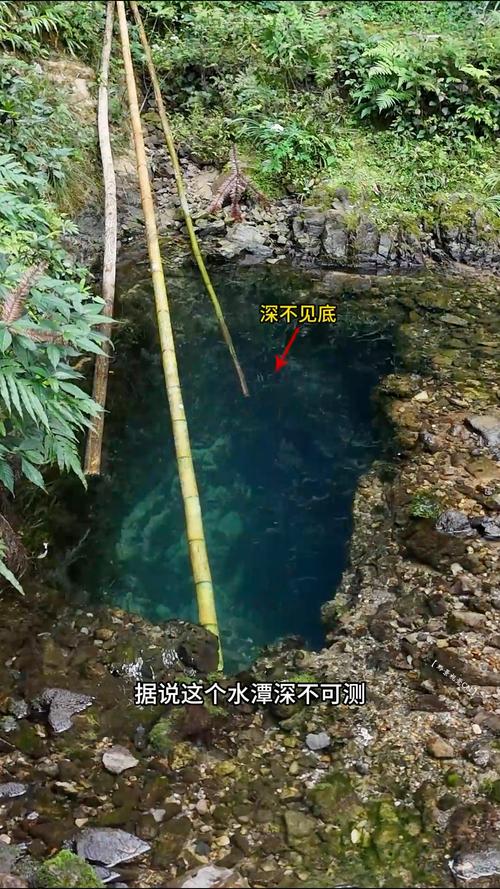 野外不可饮用的死水潭实景图