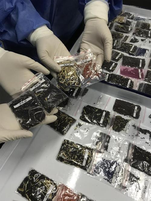 中国海关查扣非法入境流失文物现场照