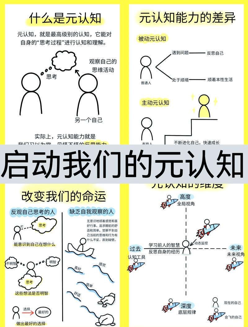 大脑元认知思维路径示意图