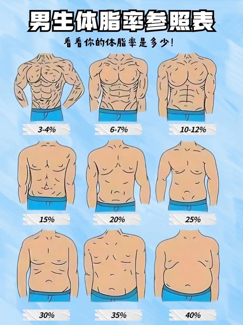 腹肌体脂率对比图