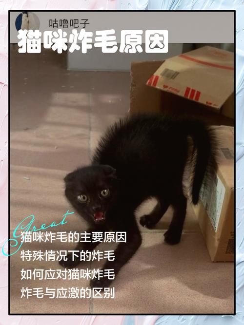 想知道你为啥总炸毛？扒开看看