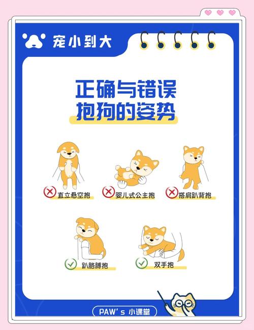 养宠人可落地的风控动作