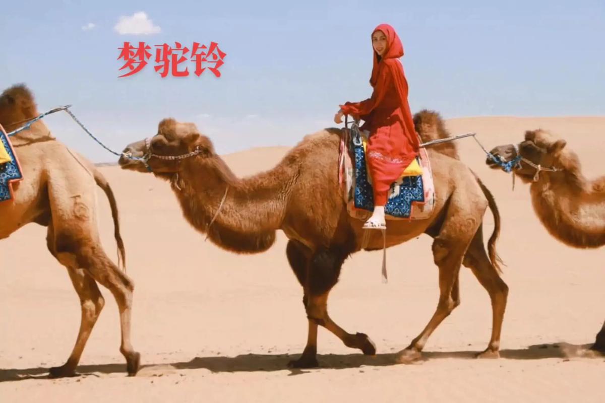 驼铃消失的那个下午