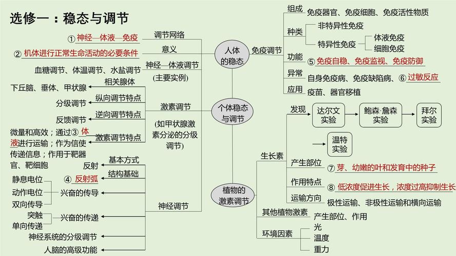 高中生物课本稳态调节概念示意图