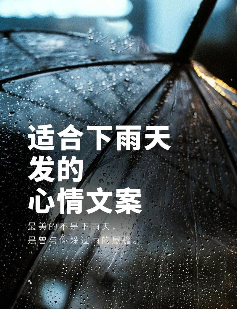 多雨天的情绪,才是最该养护的