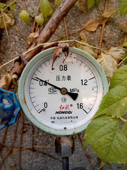 日常维护：别等出问题才想起压力表