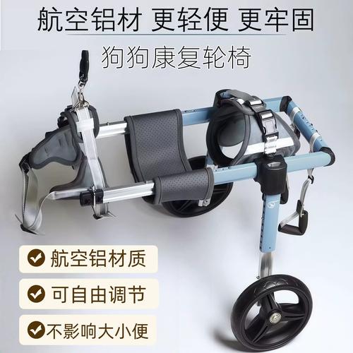 老人给瘫痪宠物狗按揉后腿