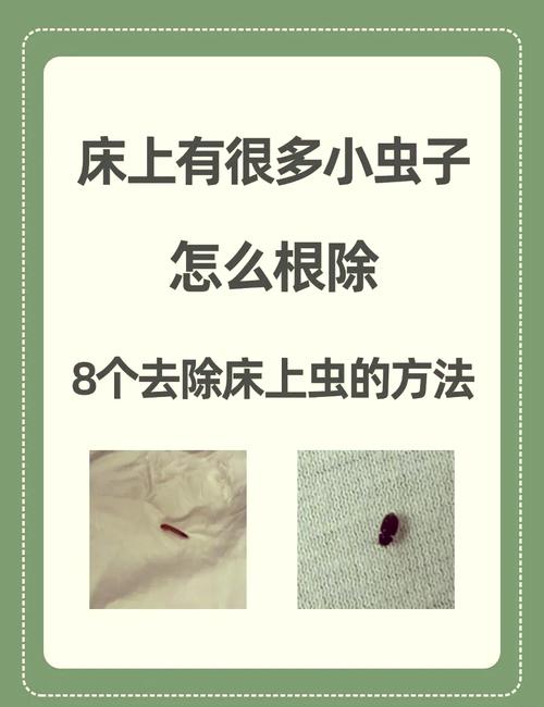 已经生虫了怎么处理？别全扔