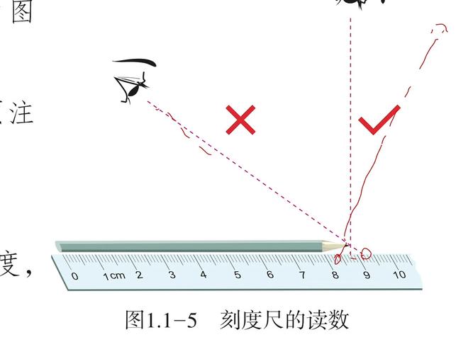 卷尺刻度特写与正确读数视线角度示意图