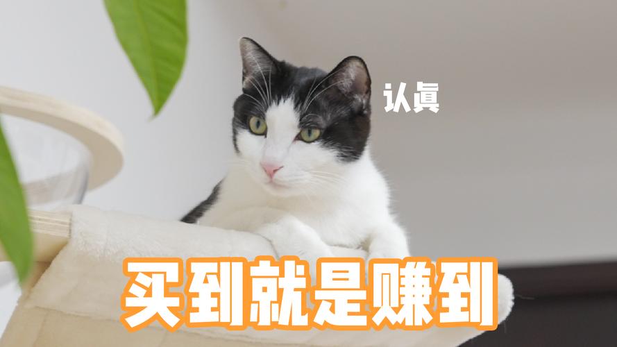 囤货的幻觉：买到就是赚到？