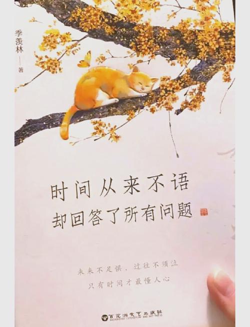 几个你早就想问但没人肯说清的问题