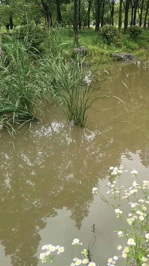 蒲河沿岸的野径：荒草与流水