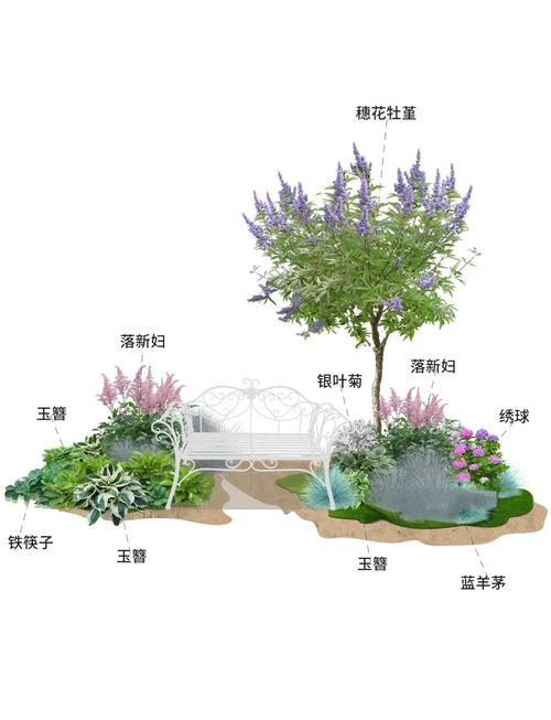 进阶技巧：让你的家像植物园