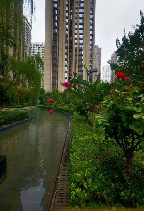 雨天实地考察新建商品房小区场景图