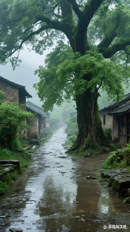 湖北南漳雷坪村雨后青石板老民居