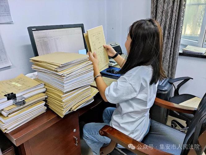 土地权属纠纷证据链整理卷宗实拍